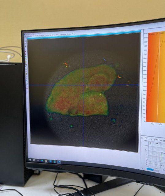 Орловские ученые получили грант на инновационные разработки