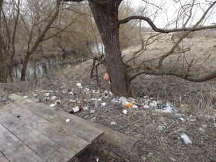Мусор в Звягинках