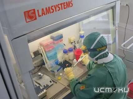 В шести районах Орловской области обнаружен штамм «омикрон»