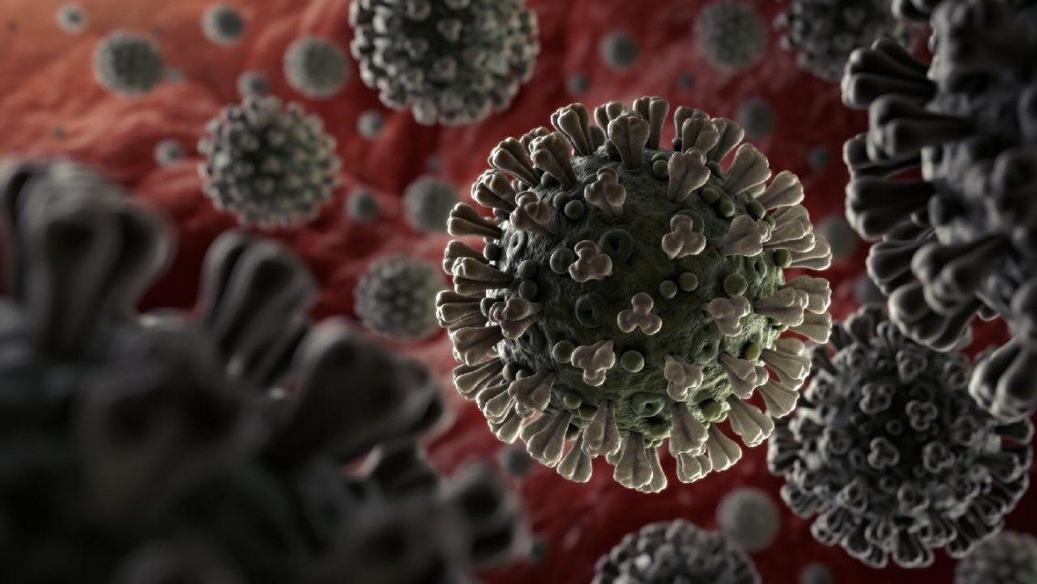 Почти у 1000 орловчан выработался иммунитет к коронавирусу