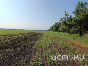 В Орловской области ликвидировали семь свалок с отходами производства В Орловской области ликвидировали семь свалок с отходами производства