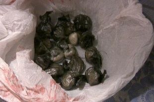 Орловская полиция задержала закладчиков героина 