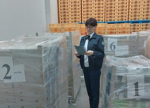 Орловская область в десятки раз увеличила экспорт молочной продукции