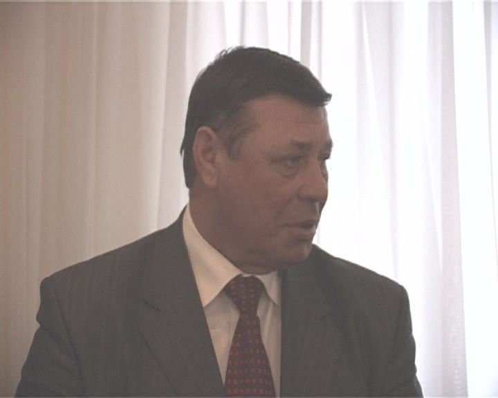 Чиновники запутались в решении проблемы бродячих собак