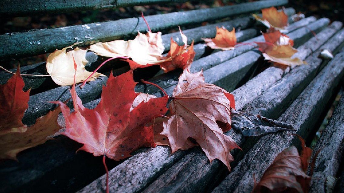 В Орле продолжает холодать: погода на 12 ноября