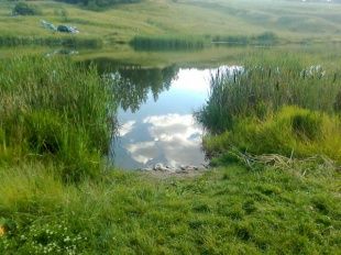 В Болхове утонул мужчина — сводка МЧС за выходные