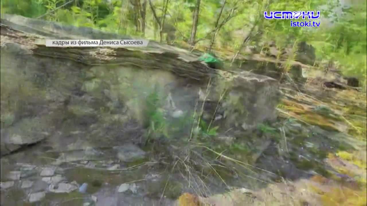 Пионерские лагеря Орловщины