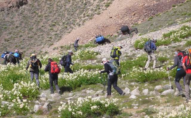 Орловчане могут пройти по "Шёлковому пути"