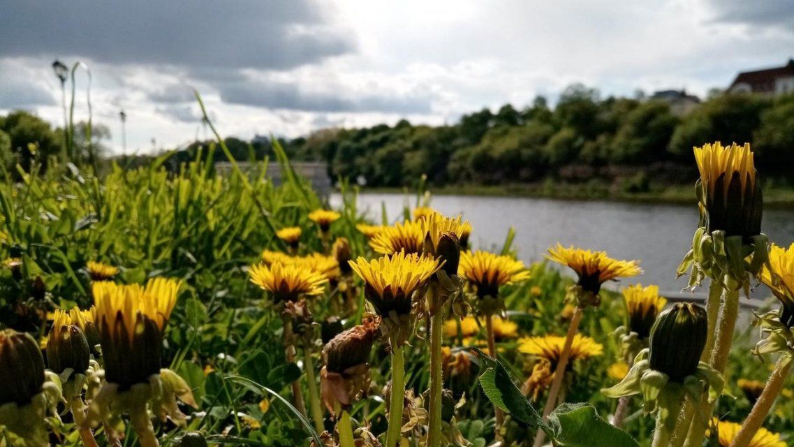 Сегодня в Орле вновь будет холодно и дождливо