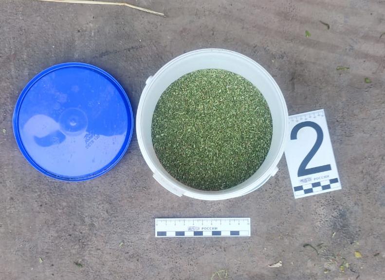 В сарае у орловчанина в ведре нашли марихуану. На него завели дело