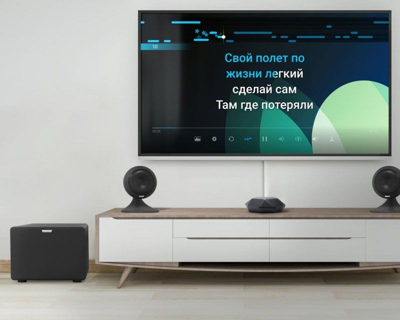 Лейся песня: лучшие караоке-бары в Орле