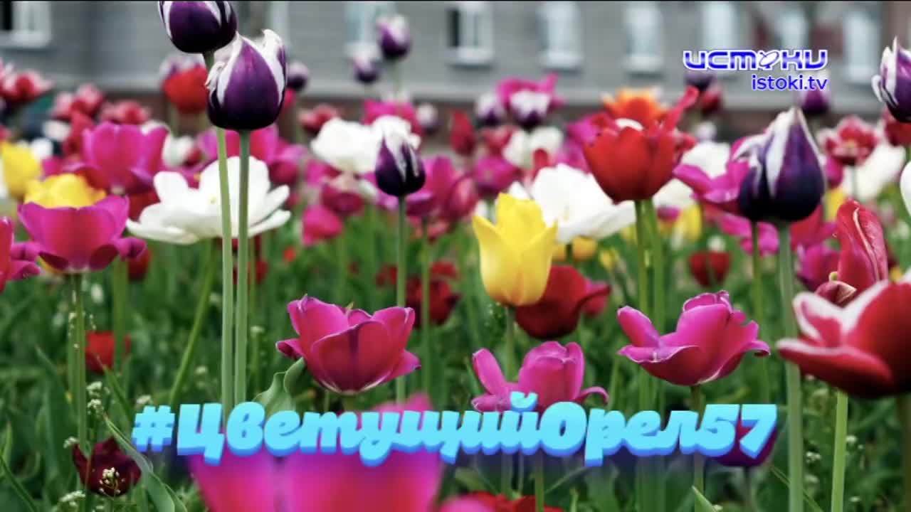 Редакция "ИСТОКОВ" определила нового народного корреспондента