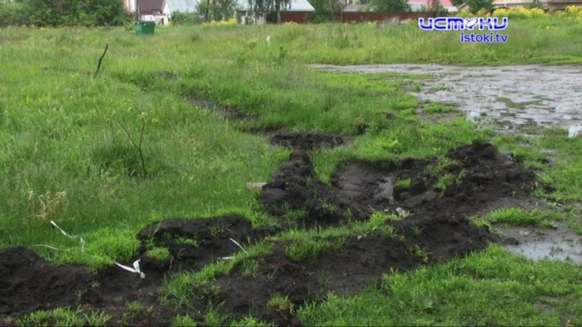 В Лужках ополчились на кандидата в депутаты: причина конфликта — уничтоженный «Сад памяти»