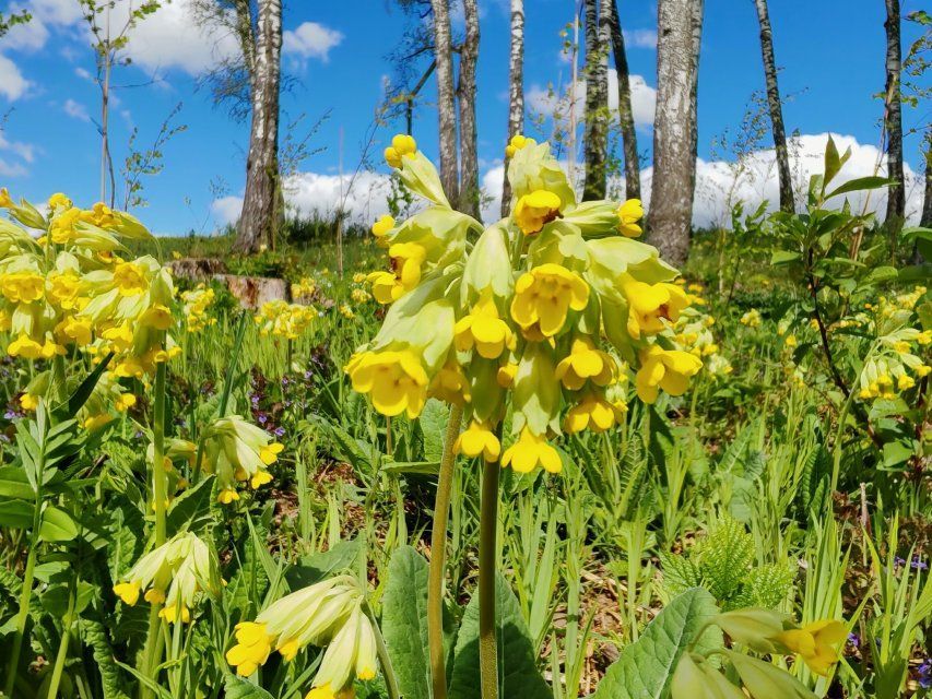 Орловчанам напомнили, как уберечь здоровье во время аномальной жары