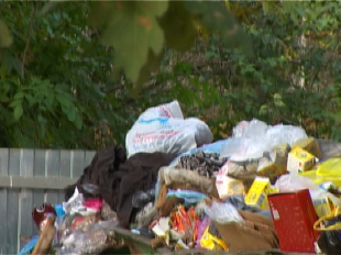 Ударный субботник - массовая уборка города пройдет под музыку