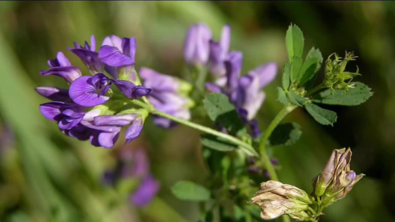 Экспертное мнение 4 выпуск 28.05.19