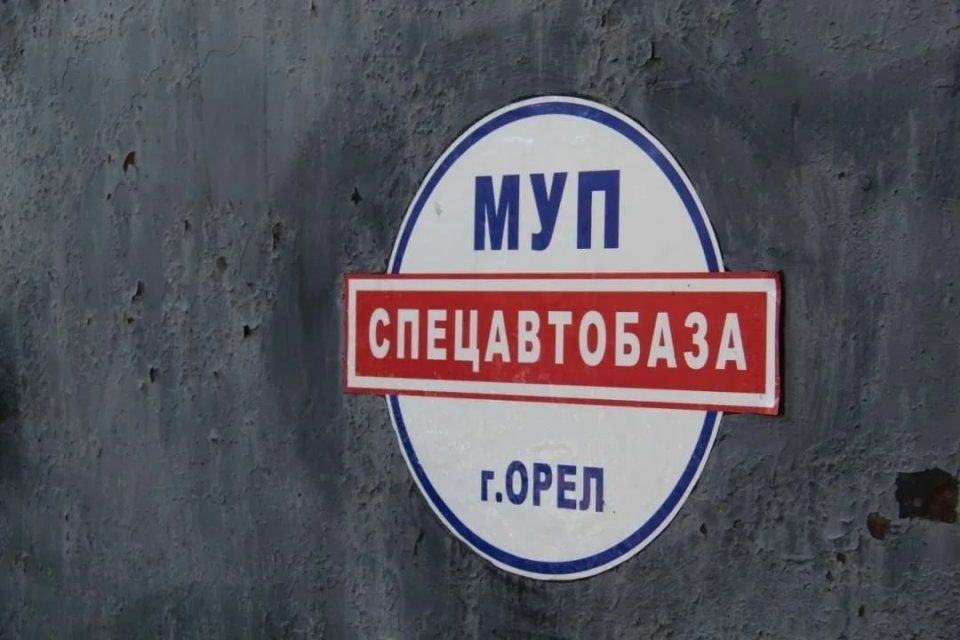 Мать покусанной собаками девочки в Орле получит компенсацию от "Спецавтобазы"