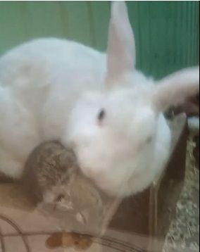 Маски носим до мая, фурам не место на Карачевке. Об этом и не только расскажем в следующей рубрике