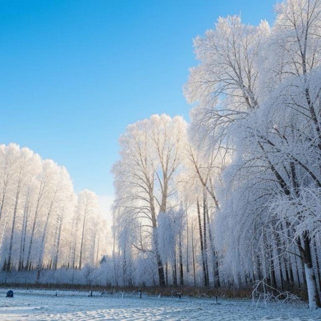 Орловщину ждет похолодание 