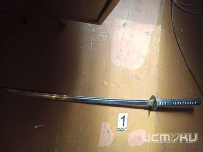 Орловчанин убил знакомого сувенирным японским мечом