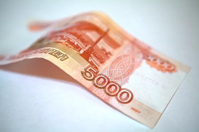 36 подделок нашли за полгода в Орловской области