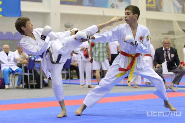 Сегодня пройдет Чемпионат и Первенство области по восточному боевому единоборству