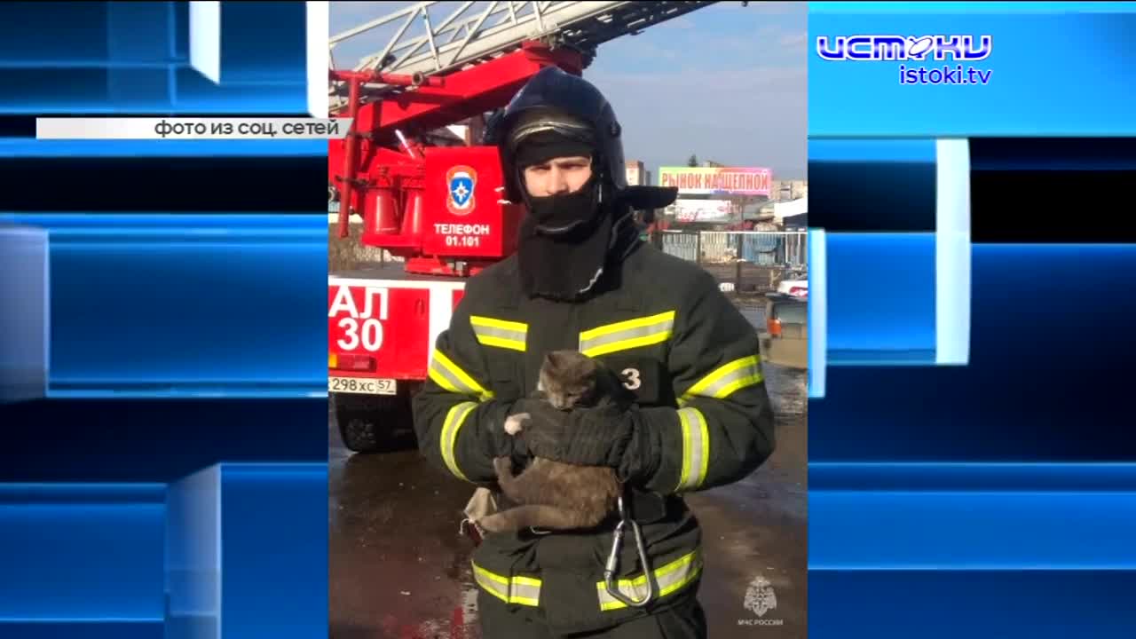 В годовщину присоединения Крыма к России в Орле пройдёт автопробег, студенты отремонтировали машину для военнослужащих СВО, а в Орле помощь понадобила...