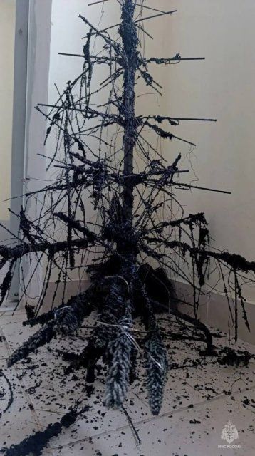 Гирлянда сожгла новогоднюю елку орловчанки