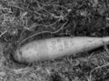 За последние сутки обошлось без пожаров в жилом секторе