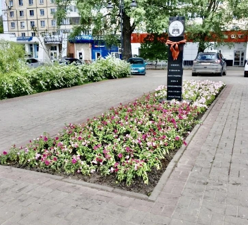 В сквере «Орлята» высадили 2,3 тыс. петуний