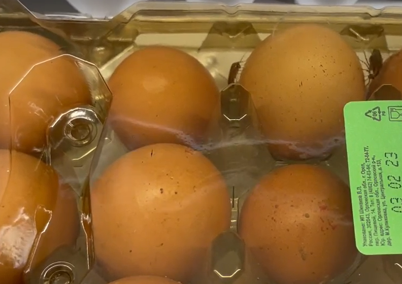 Амчане засняли ползающих по продуктам в "Магните" насекомых