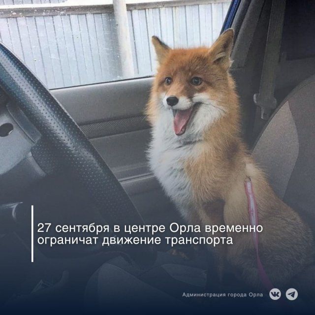 В субботу в центре Орла ограничат движение и запретят парковку