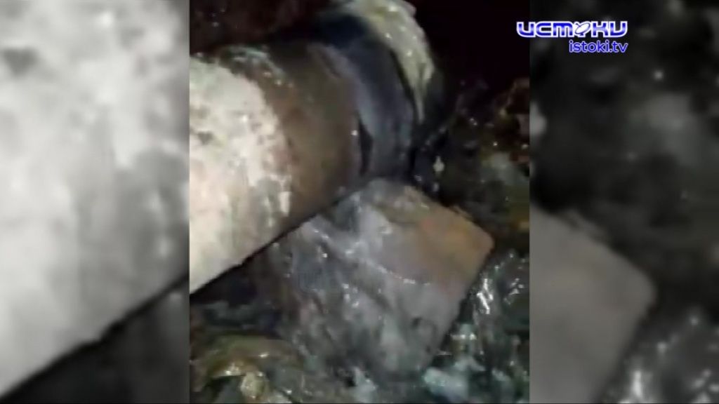 Видео: орловскую пятиэтажку 1,5 месяца затапливает нечистотами из канализации