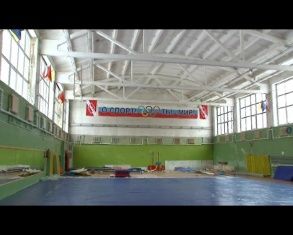 "SOS! Гибель орловской гимнастики" 