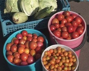 Цены на продукты в Орловской области не увеличиваются? 