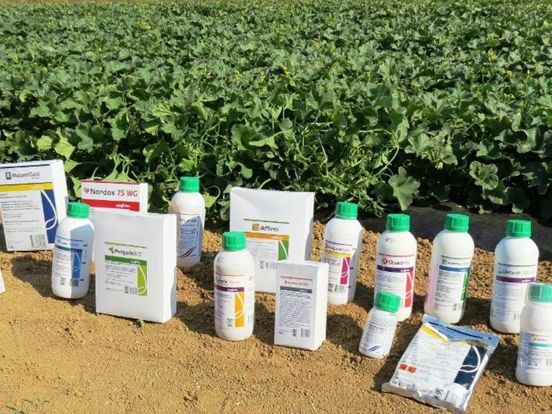 В Орловской области выявлено 47 нарушений регламентов применения химпрепаратов