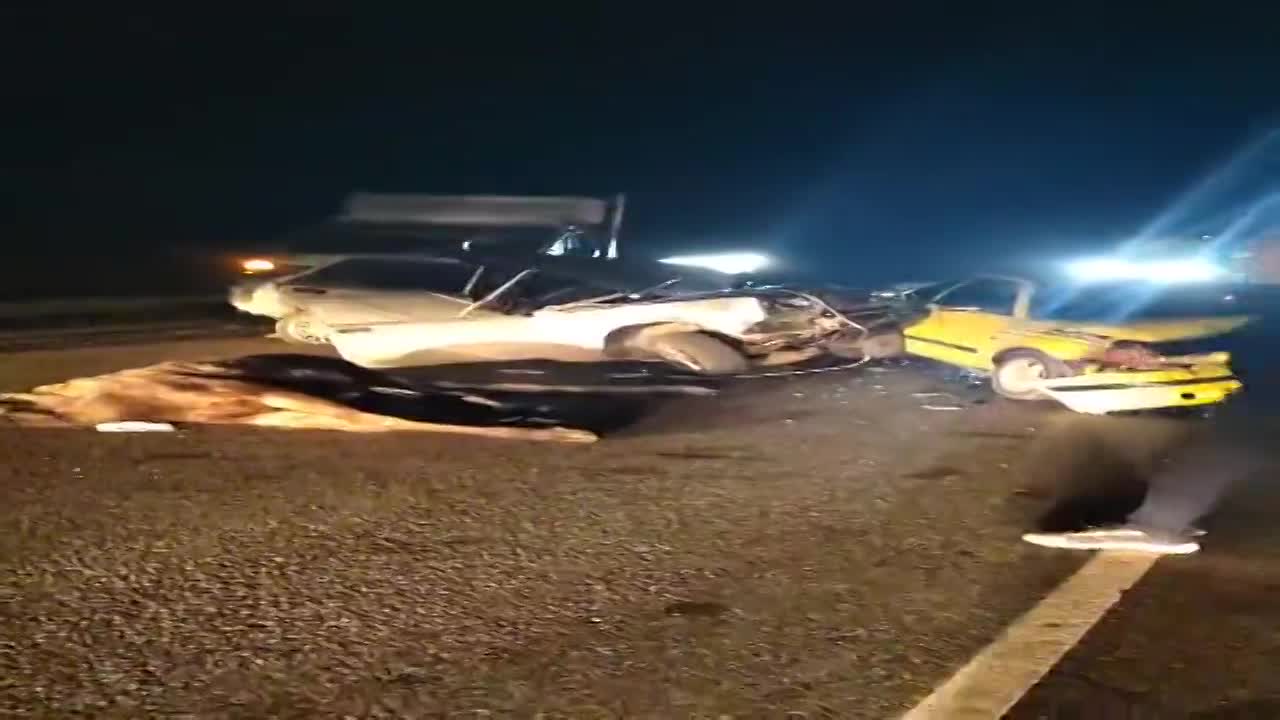 Две легковушки, грузовик и фура: под Орлом лось спровоцировал серьезное ДТП