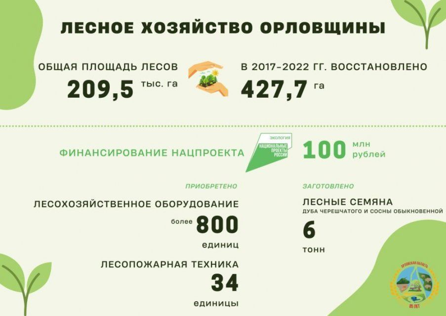 В Орловской области за последние 6 лет восстановлено 427,7 га леса