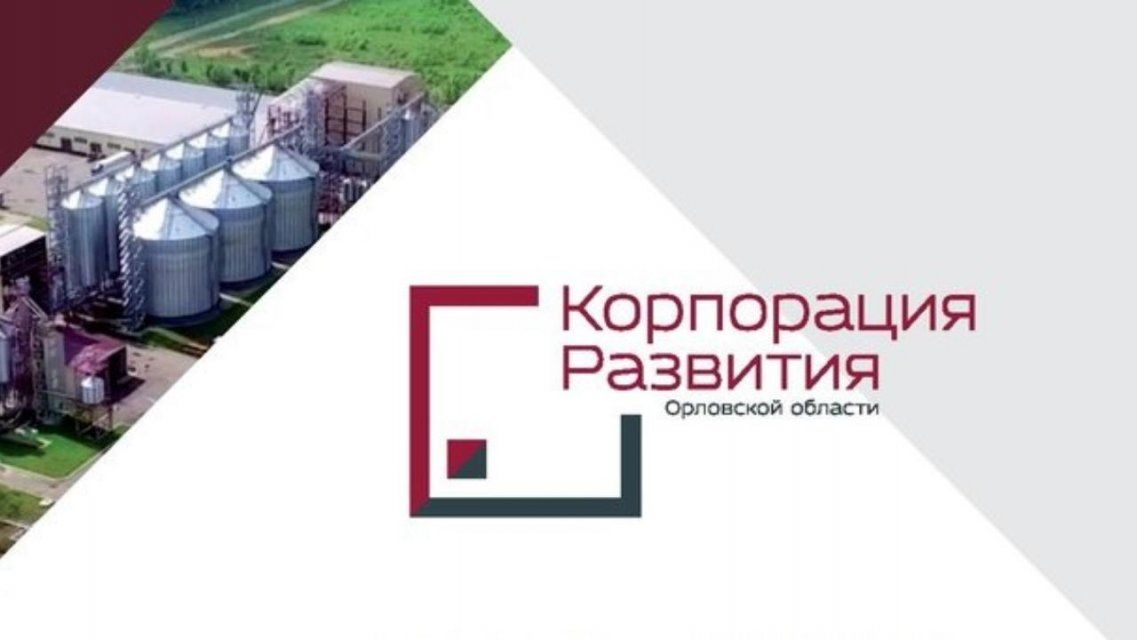 В кабинете директора Корпорации развития Орловской области проводится обыск