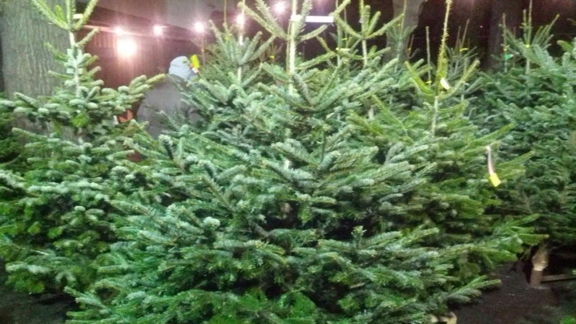 В этом году в Орле станет больше елочных базаров