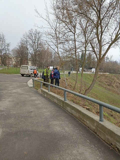 Орловская прокуратура нашла виновных в гибели деревьев в горпарке