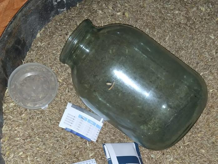 Орловчанина отдадут под суд за банку с марихуаной