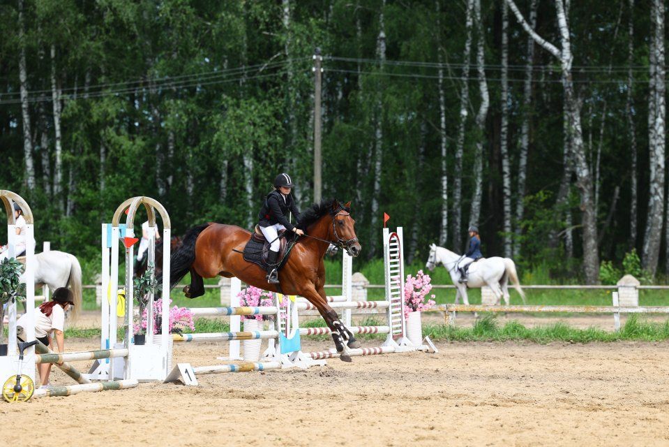 В Орле состоится Первенство по конному спорту
