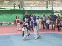 Кубок России по карате