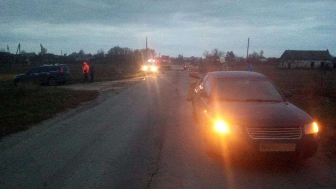 На Орловщине четырехлетний ребенок перебегал дорогу и попал под машину