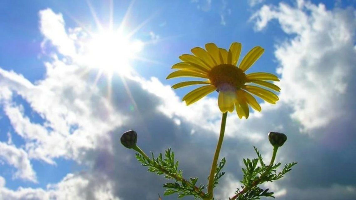 Сегодня орловчан ждет ясный и теплый день