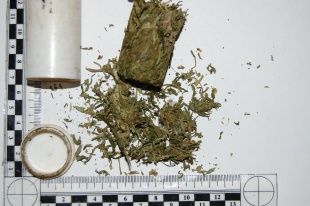 Сотрудники Курской таможни нашли наркотики в легковом автомобиле