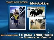 Водители вредители_80