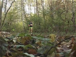 Спортсменам погода не помеха 