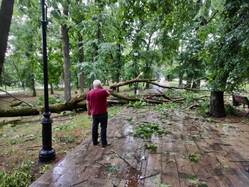 Орёл продолжают избавлять от опасных аварийных деревьев
